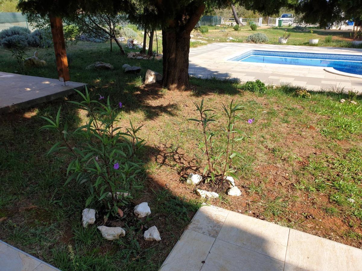 Olive Apartments Ugljan Exterior foto