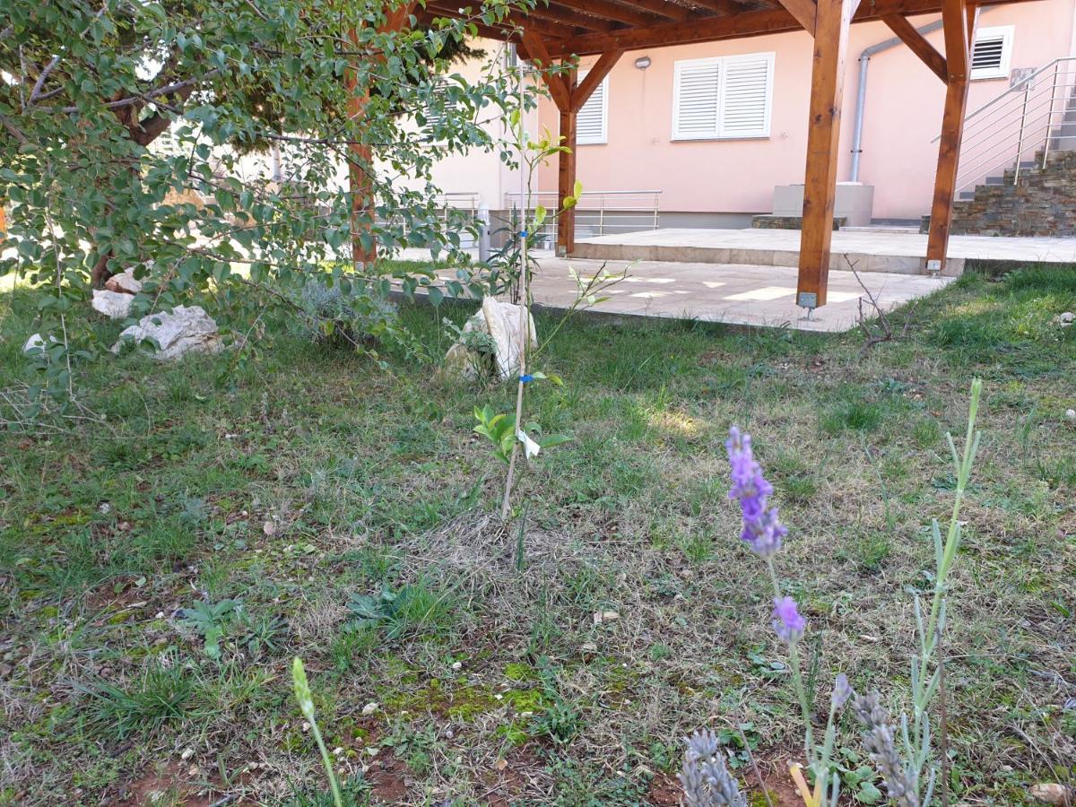 Olive Apartments Ugljan Exterior foto