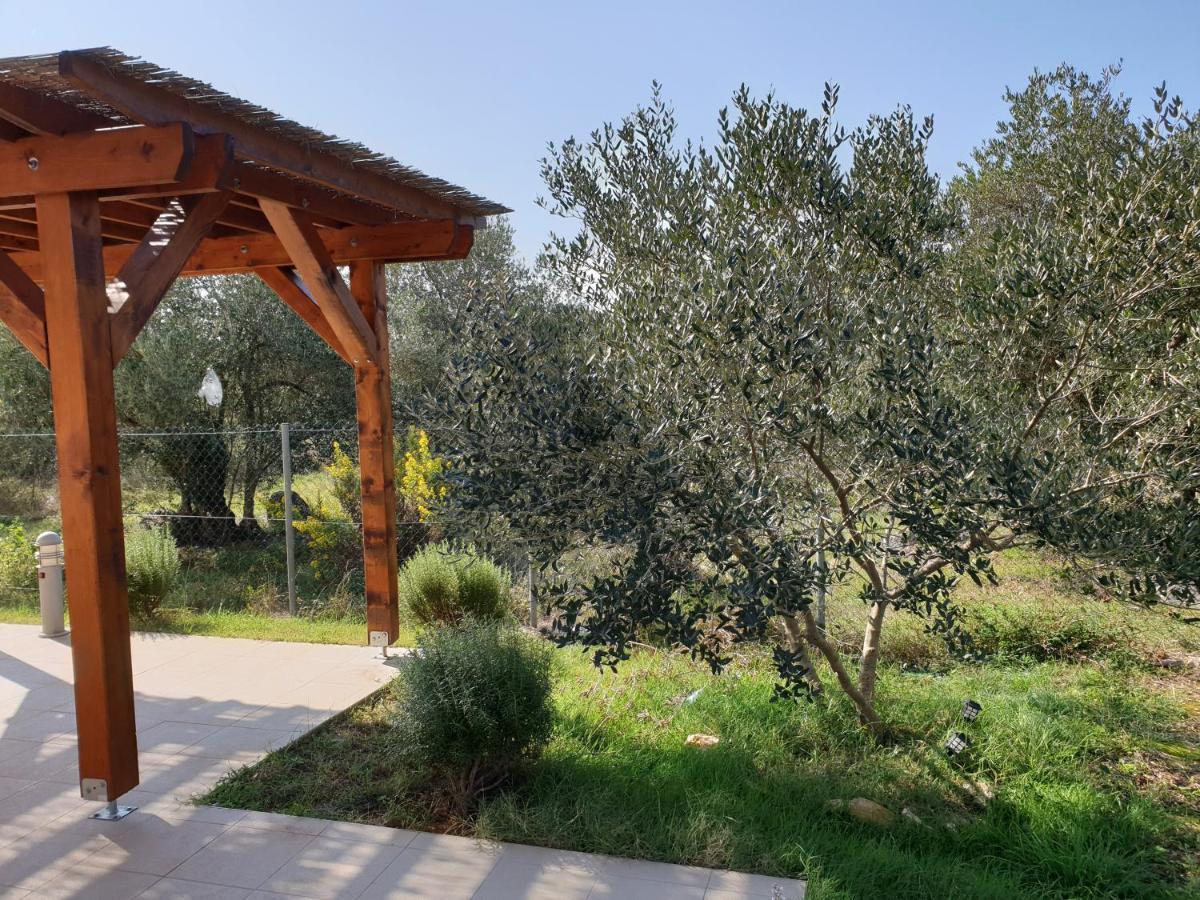 Olive Apartments Ugljan Exterior foto